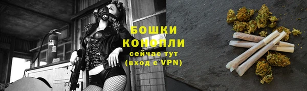 крисы Белая Холуница