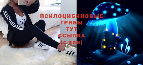 метадон Ельня