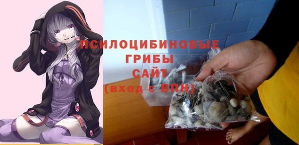 метадон Ельня