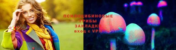 амф Елабуга