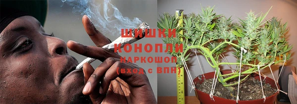 метадон Ельня