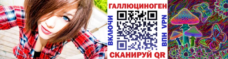 Галлюциногенные грибы Psilocybe Знаменск
