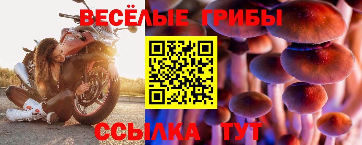 Галлюциногенные грибы GOLDEN TEACHER Знаменск