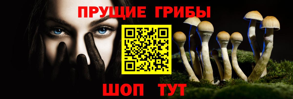 Знаменск  Галлюциногенные грибы ЛСД  Вход с VPN 